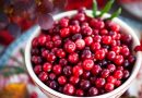 महिलाओं की सेहत का सुपरफूड है क्रैनबेरी, फायदे जानकर चौंक जाएंगे आप महिलाओं की सेहत का सुपरफूड है क्रैनबेरी, फायदे जानकर चौंक जाएंगे आप