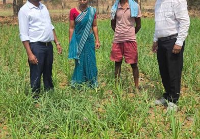 मोटे अनाज की खेती बनी किसानों के लिए फायदेमंद सौदा