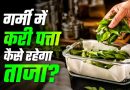 करी पत्ता स्टोर करने के आसान तरीके: महीनों तक रहेगा फ्रेश और हरा-भरा