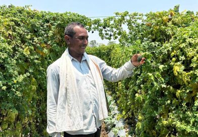 वाटरशेड योजना बनी किसान छबी लाल की समृद्धि का आधार