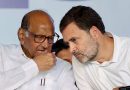 कांग्रेस में होगा शरद पवार की NCP(SP) का विलय? हाईकमान के प्रस्ताव से सियासत गरम, पार्टी में बढ़ी कलह
