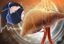 Fatty Liver को न करें नजरअंदाज! बढ़ सकता है हार्ट अटैक का खतरा, दिखें ये लक्षण तो तुरंत जाएं डॉक्टर के पास Fatty Liver को न करें नजरअंदाज! बढ़ सकता है हार्ट अटैक का खतरा, दिखें ये लक्षण तो तुरंत जाएं डॉक्टर के पास