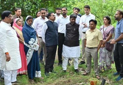धमतरी जिले में 200 एकड़ से बढ़ाकर 600 एकड़ तक औषधीय खेती के विस्तार का लक्ष्य धमतरी जिले में 200 एकड़ से बढ़ाकर 600 एकड़ तक औषधीय खेती के विस्तार का लक्ष्य