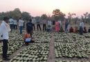 साय सरकार के सुशासन में तेन्दूपत्ता संग्राहकों को मिली आर्थिक मजबूती, 10,160 हितग्राहियों के खातों में पहुँची 1.39 करोड़ रुपये से अधिक की बोनस राशि