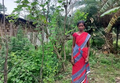किचन गार्डन से आत्मनिर्भर बन रहीं बिहान की दीदियां किचन गार्डन से आत्मनिर्भर बन रहीं बिहान की दीदियां