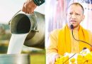 प्रदेश के सभी जनपदों में होगा डेयरी कॉन्क्लेव-2026 का आयोजन प्रदेश के सभी जनपदों में होगा डेयरी कॉन्क्लेव-2026 का आयोजन