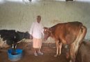 ’पीएम किसान सम्मान निधि की बचत से खरीदी पहली गाय, आज 10 गायों के साथ आत्मनिर्भर बने 75 वर्षीय परशुराम गुप्ता’ ’पीएम किसान सम्मान निधि की बचत से खरीदी पहली गाय, आज 10 गायों के साथ आत्मनिर्भर बने 75 वर्षीय परशुराम गुप्ता’