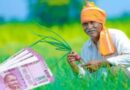 अरवल के किसानों को रबी फसलों के बीज पर मिलेगा 65% अनुदान, ऑनलाइन आवेदन शुरू