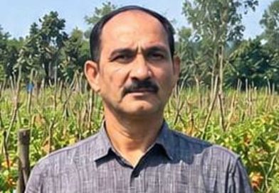 उन्नत टमाटर की खेती से शाहिद की मेहनत लाई रंग, 2 एकड़ में कमाए 1.20 लाख रुपये